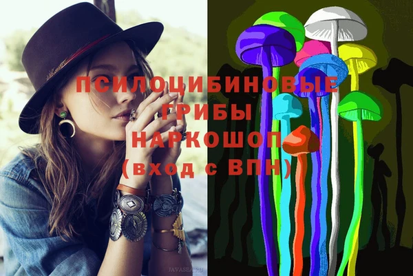 spice Киреевск