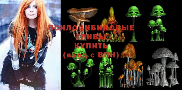 spice Киреевск