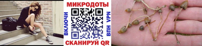 ОМГ ОМГ маркетплейс  Нальчик  Псилоцибиновые грибы Psilocybine cubensis 